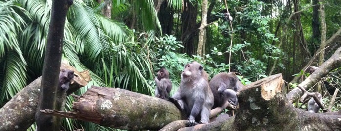 Sacred Monkey Forest Sanctuary is one of Bali for The World #4sqCities.