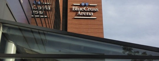 Blue Cross Arena at the War Memorial is one of These are a few of my favorite things.