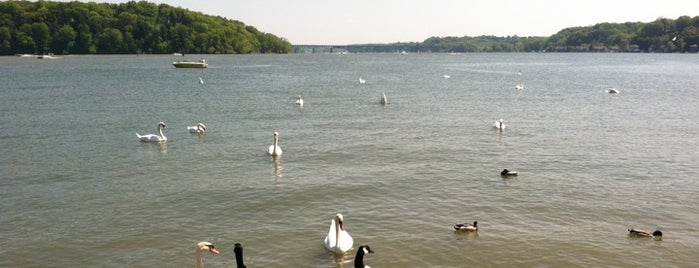 Irondequoit Bay is one of Lugares favoritos de MSZWNY.