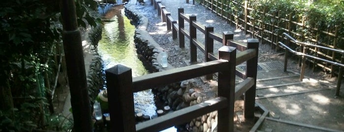 お鷹の道・真姿の池湧水群 is one of Tempat yang Disimpan Andarie.