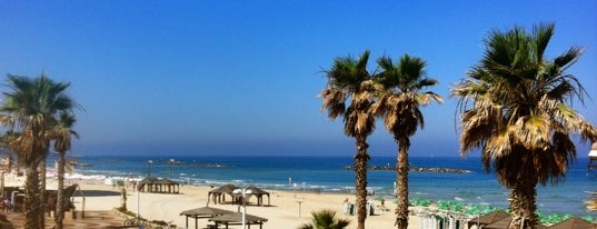 Пляж Гордон is one of Travel Guide to Tel Aviv.