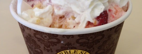 Marble Slab Creamery is one of Lugares favoritos de Brett.