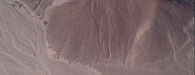 Lineas De Nazca is one of Llama-rama.