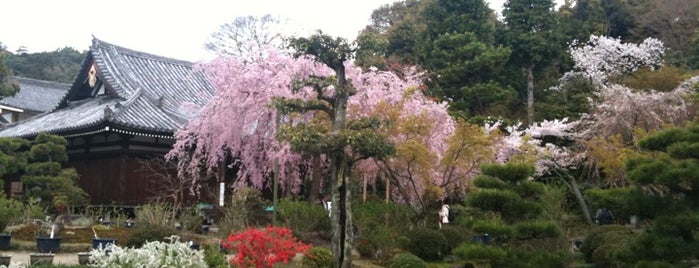 法金剛院 is one of 秘封るる部京都2015収録地.