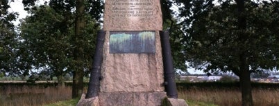 Monumentet över slaget vid Landskrona is one of Military history.