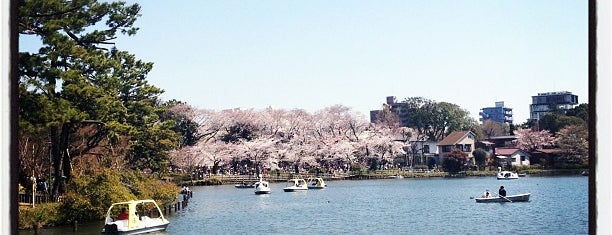 洗足池公園 is one of 東京花見スポット.