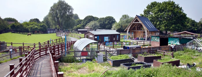Newham City Farm is one of The Queen's Jubilee in London with Louis Vuitton.