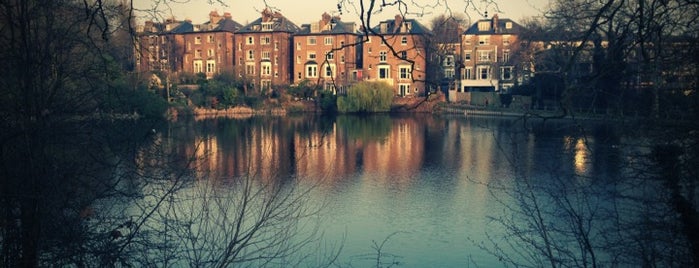 Hampstead Heath Ponds is one of Reccos.
