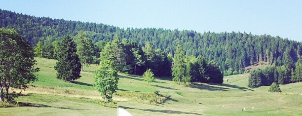 Golf Club Folgaria is one of Sports & More.