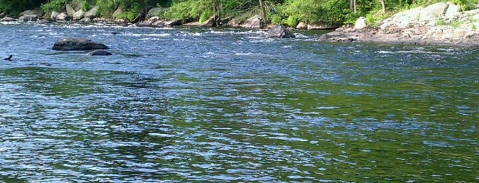 Farmington River Trail Hike is one of Flora : понравившиеся места.