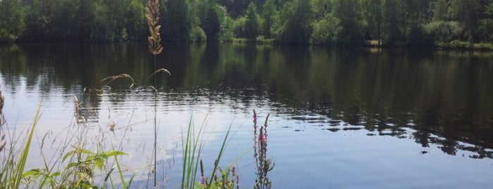 Лелехівка is one of Lviv. Nature.