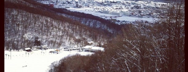 札幌藻岩山スキー場 is one of スキー場(北海道).