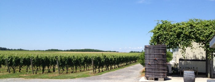 The Lenz Winery is one of East of Eden.
