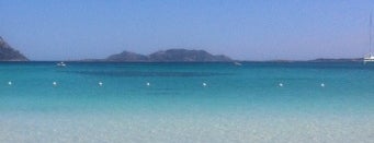 Spiaggia Porto Istana is one of Emilieさんのお気に入りスポット.