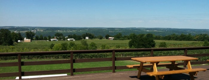 Red Newt Cellars is one of Fingerlakes Transport an Tour Service.