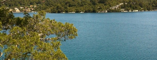 Nacionalni park Mljet is one of National Parks of Croatia.