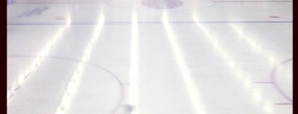 Hockeyhallar i Stockholm