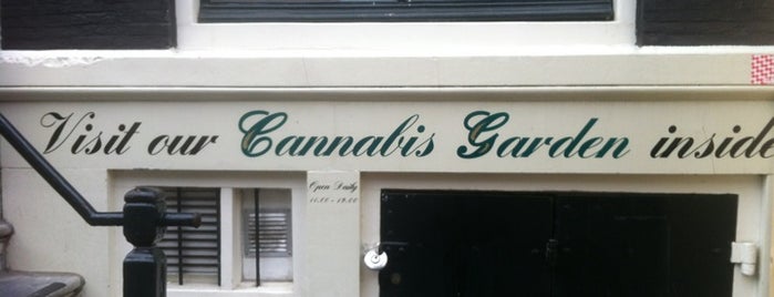 Cannabis College is one of De Wallen ❌❌❌.