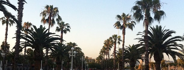 Barceloneta Park is one of Barcelona / Barcelone.