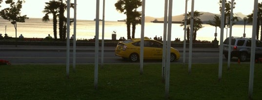 English Bay Beach is one of Vancouver.