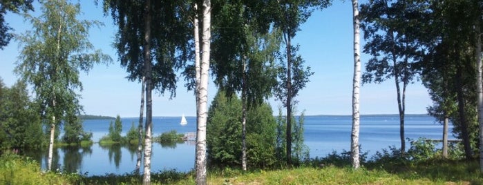 Elianderin uimaranta is one of Tampereen uimarannat.