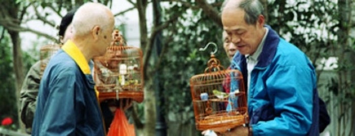 Yuen Po Street Bird Garden is one of The HK List.