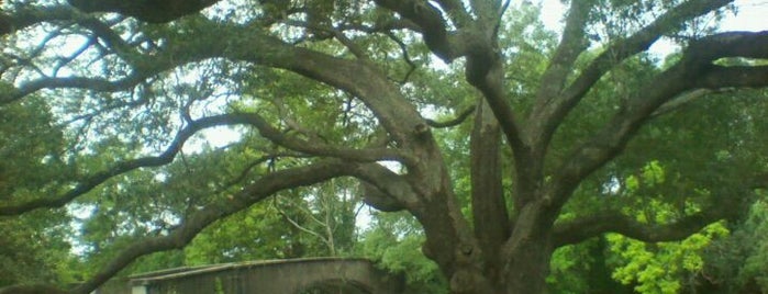 Audubon Park is one of New Orleans.