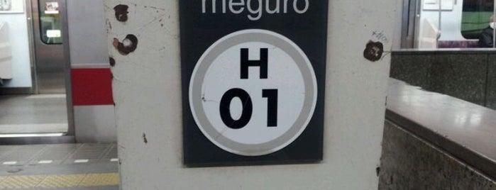 Hibiya Line Naka-meguro Station (H01) is one of Lugares favoritos de Steve ‘Pudgy’.