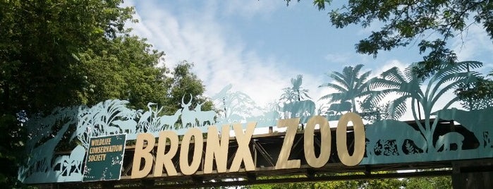 Bronx Zoo is one of NYC go to C.