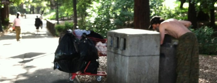 University of California, Berkeley is one of A Taste of SF & Silicon Valley.