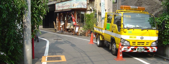 Himalaya Curry is one of My Trip to Japan.