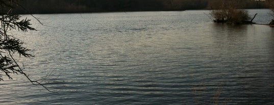 Fowser Road Boat Ramp is one of Dale'nin Beğendiği Mekanlar.