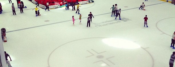 Dubai Ice Rink is one of Things To Do Before I Die.