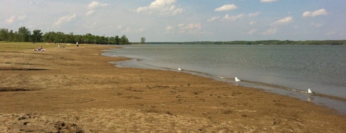 Alum Creek Beach is one of Aaron’s Liked Places.