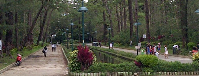 Wright Park is one of Top Spots in Baguio.