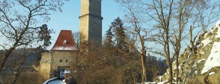 Zvíkov Castle is one of World Castle List.