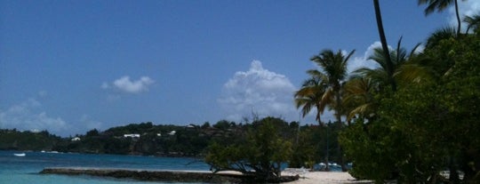 A Locals Guide 48 Hours In Le Gosier Guadeloupe