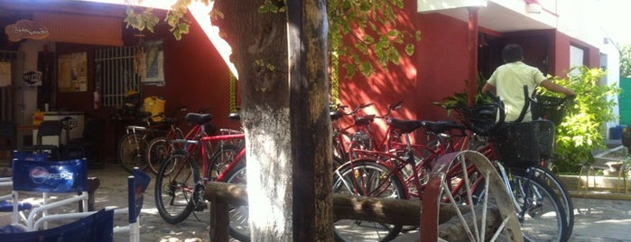Bikes And Wines Mendoza is one of Mendoza.