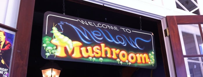 Mellow Mushroom is one of Favorite Places to go.
