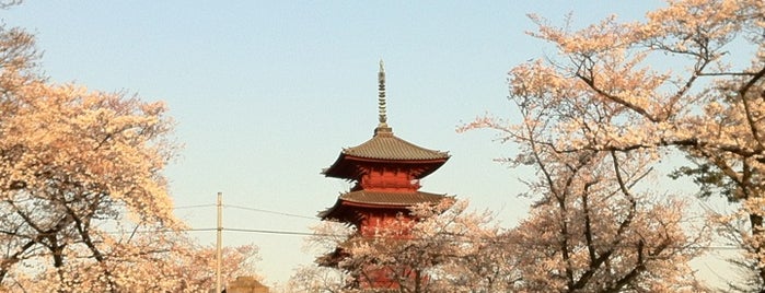 Ikegami Honmon-ji is one of 東京花見スポット.