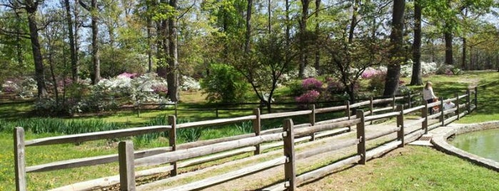 Joseph Bryan Park is one of Ashley’s Liked Places.