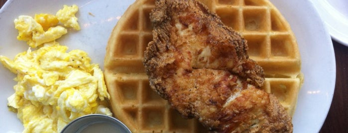 Founding Farmers is one of Chicken. Waffles. 'Nuff Said..