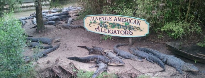 Alligator Adventure is one of Tempat yang Disukai Lori.