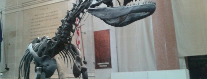 American Museum of Natural History is one of New York trip.