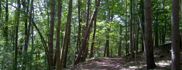 Charles Ward Reservation is one of Hiking.