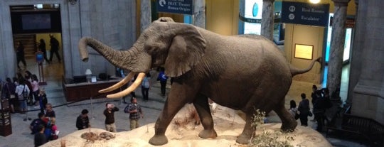 Smithsonian National Museum of Natural History is one of Washington, DC.