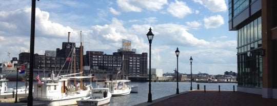 Thames Street Wharf is one of The Great Outdoors.