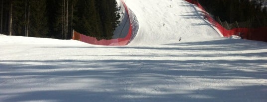 Saslong is one of Dolomiti Super Ski - Italy.