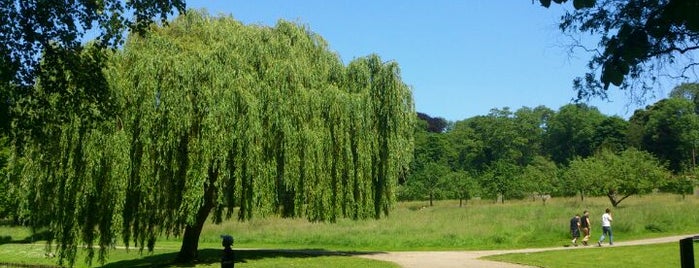 Parc Sobieskipark is one of Posti che sono piaciuti a Erik.