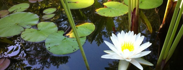 North Carolina Botanical Gardens is one of Must visits in Carrboro & Chapel Hill.